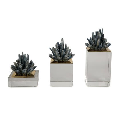 Iris Decor Bundle