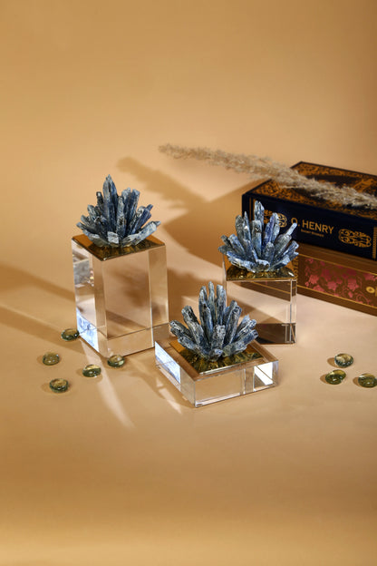 Iris Decor Bundle