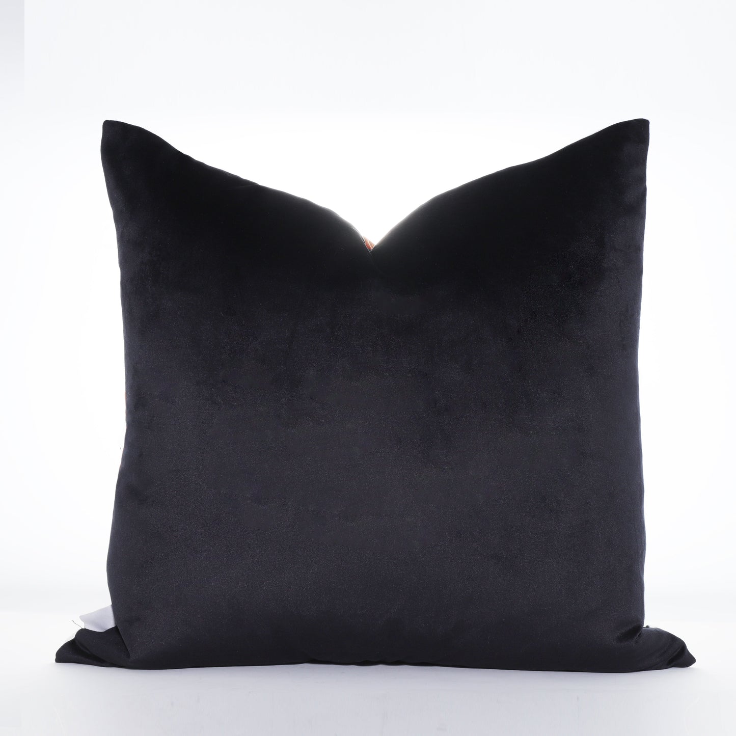 Euphoria Cushion Cover